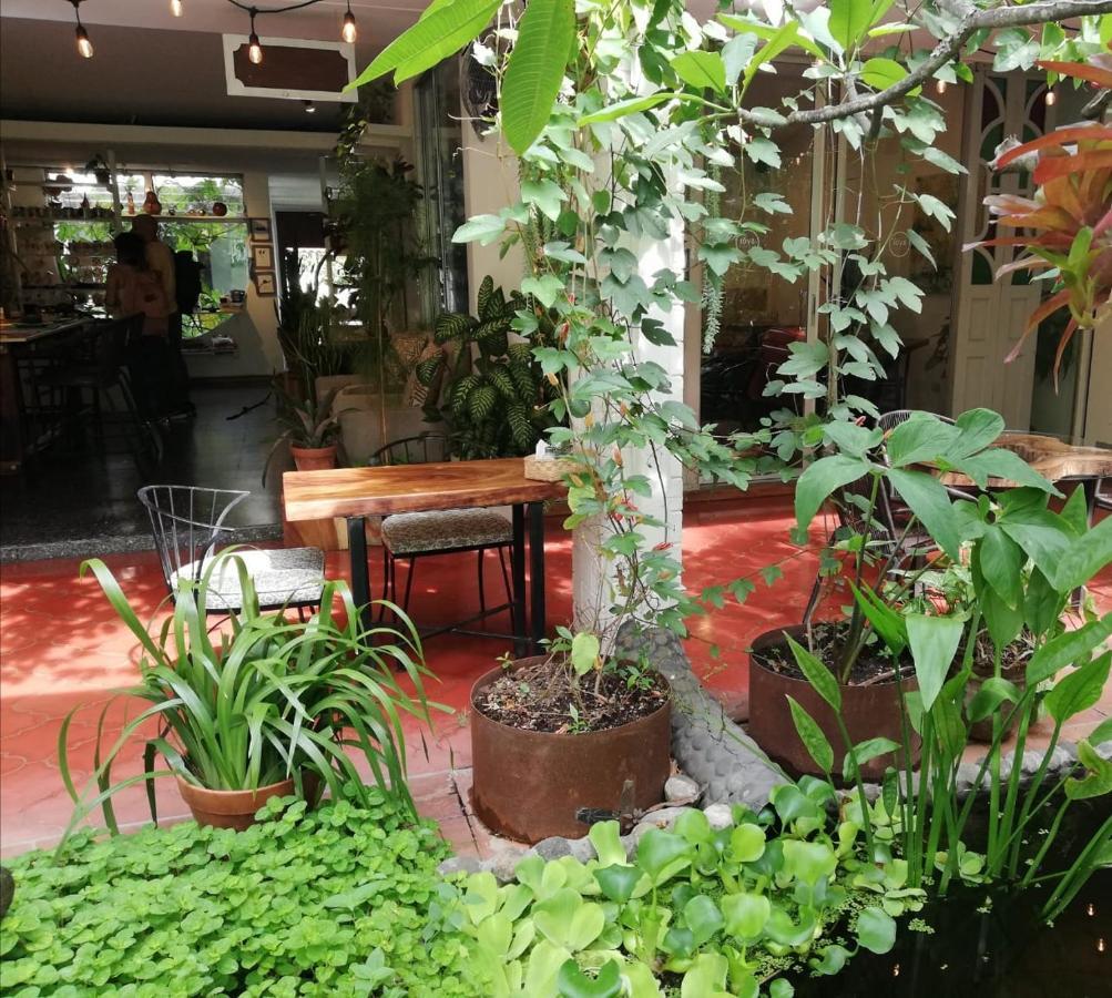 Cinco Hotel B&B San Salvador Exteriör bild