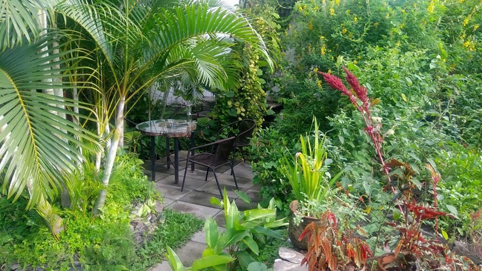 Cinco Hotel B&B San Salvador Exteriör bild